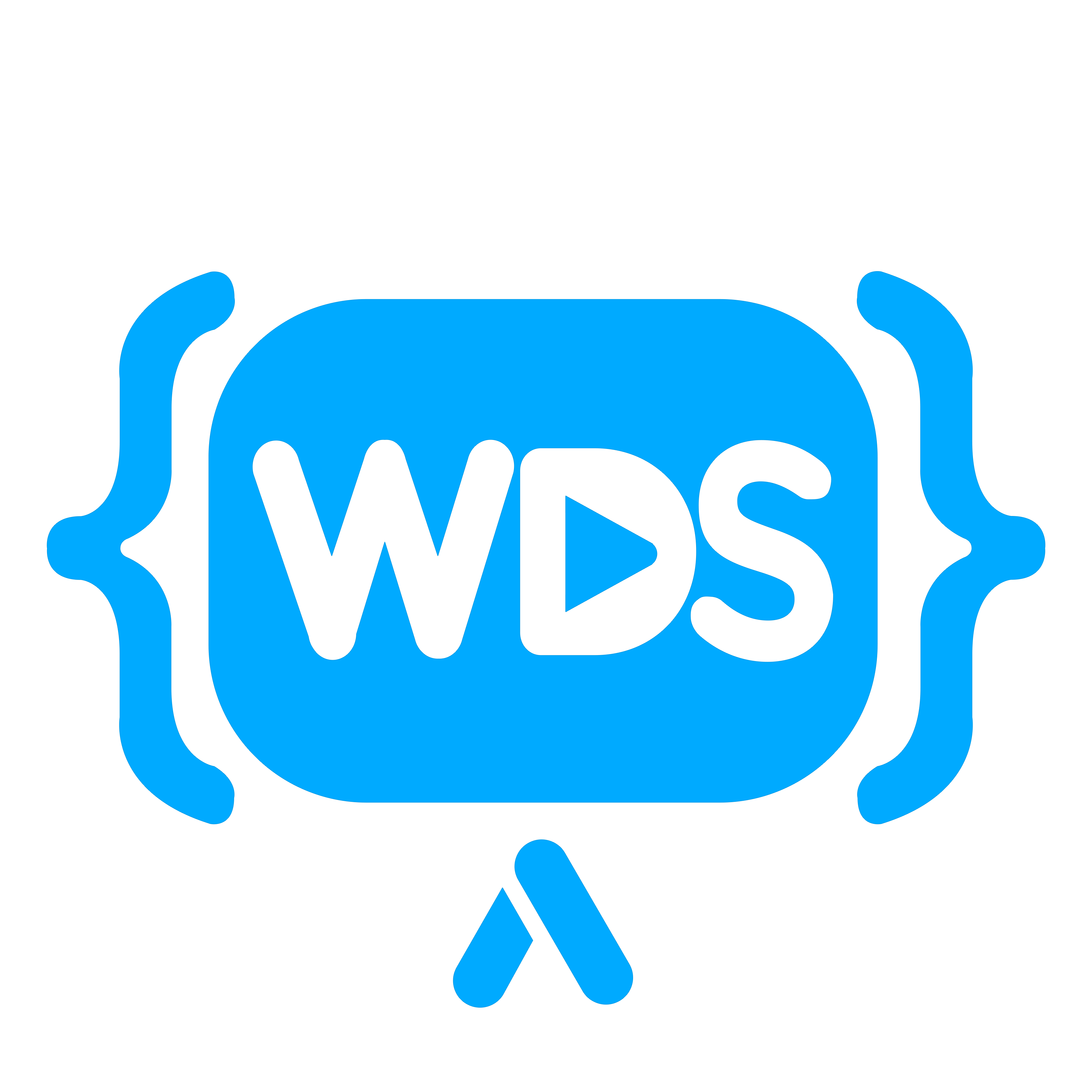 WDS Blog Search